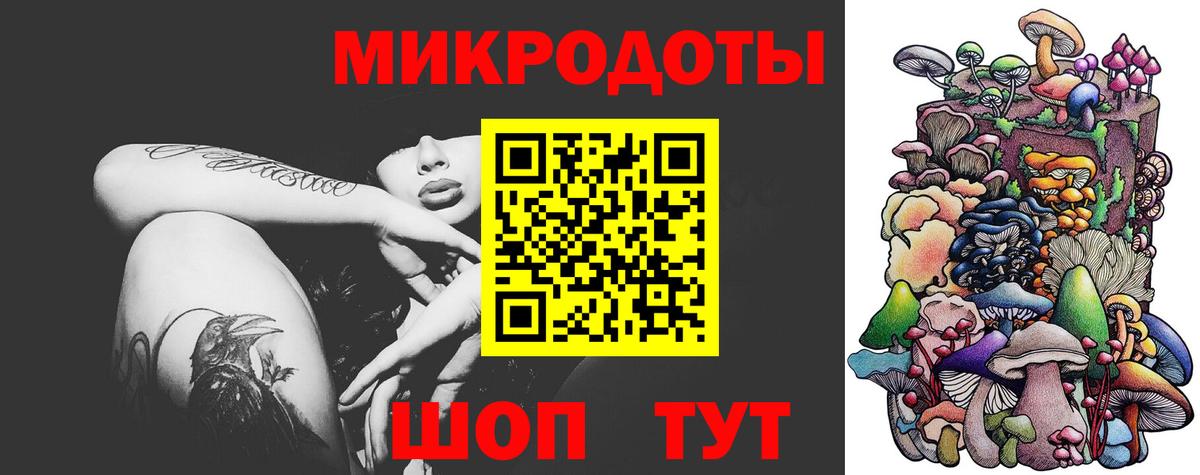 Каменск-Уральский  Галлюциногенные грибы прущие грибы  Вход с VPN  Галлюциногенные грибы Psilocybine cubensis 
